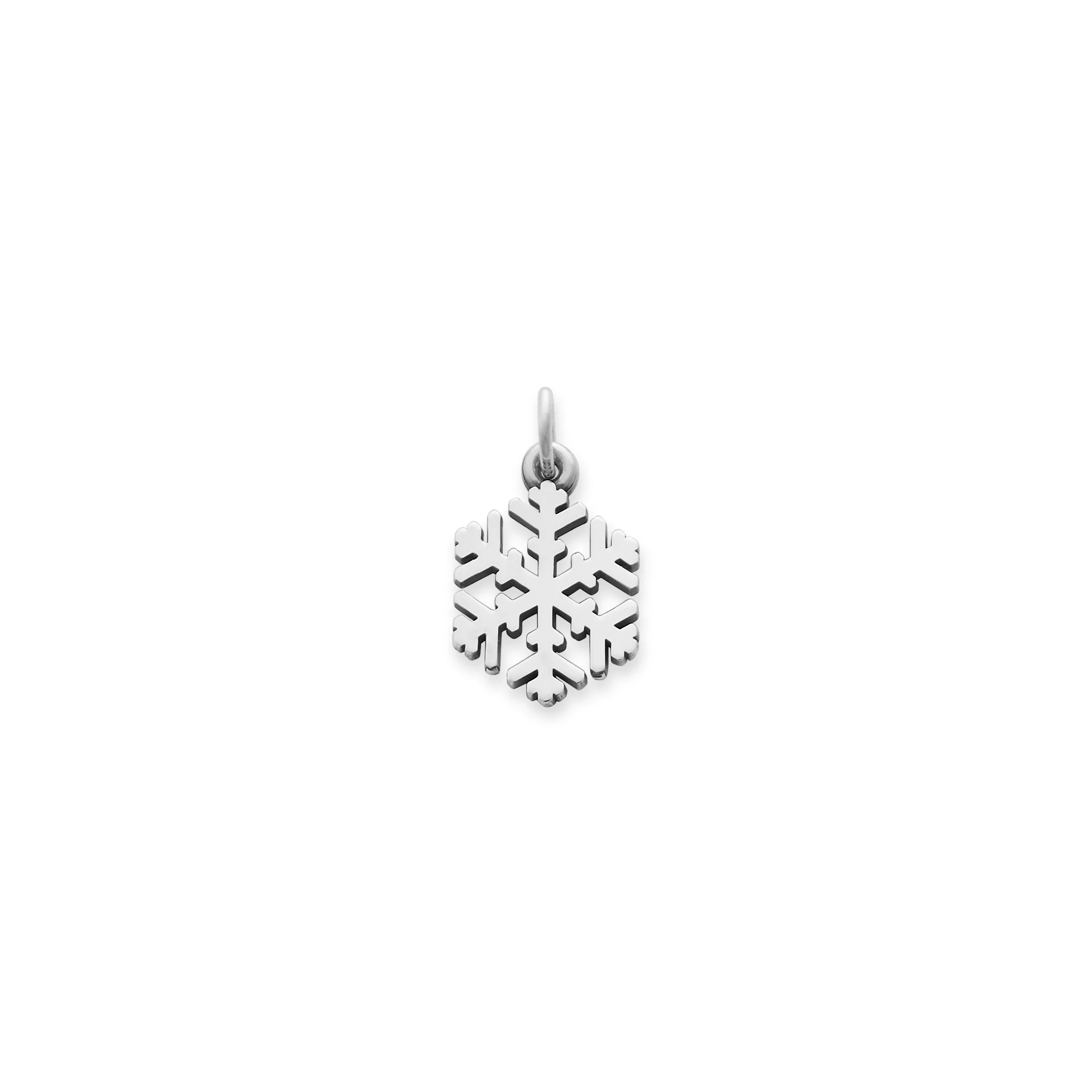 Snow Crystal Charm