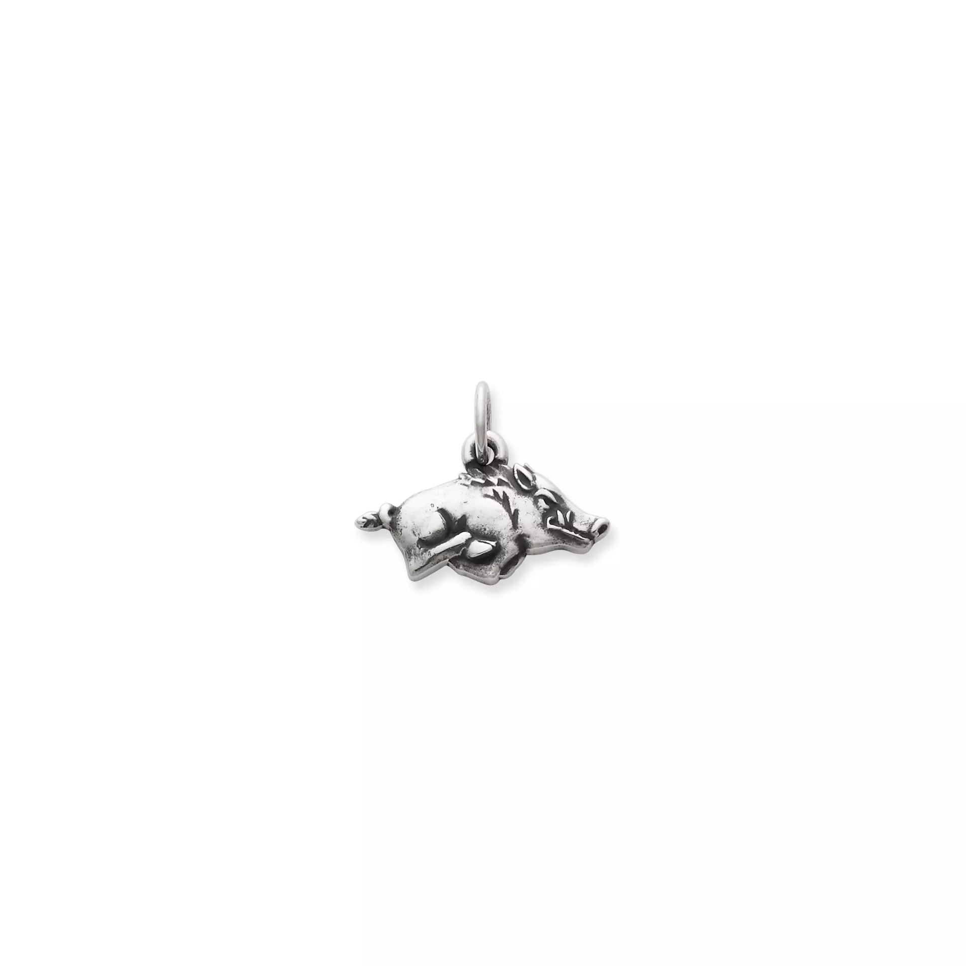 Arkansas Razorback Charm