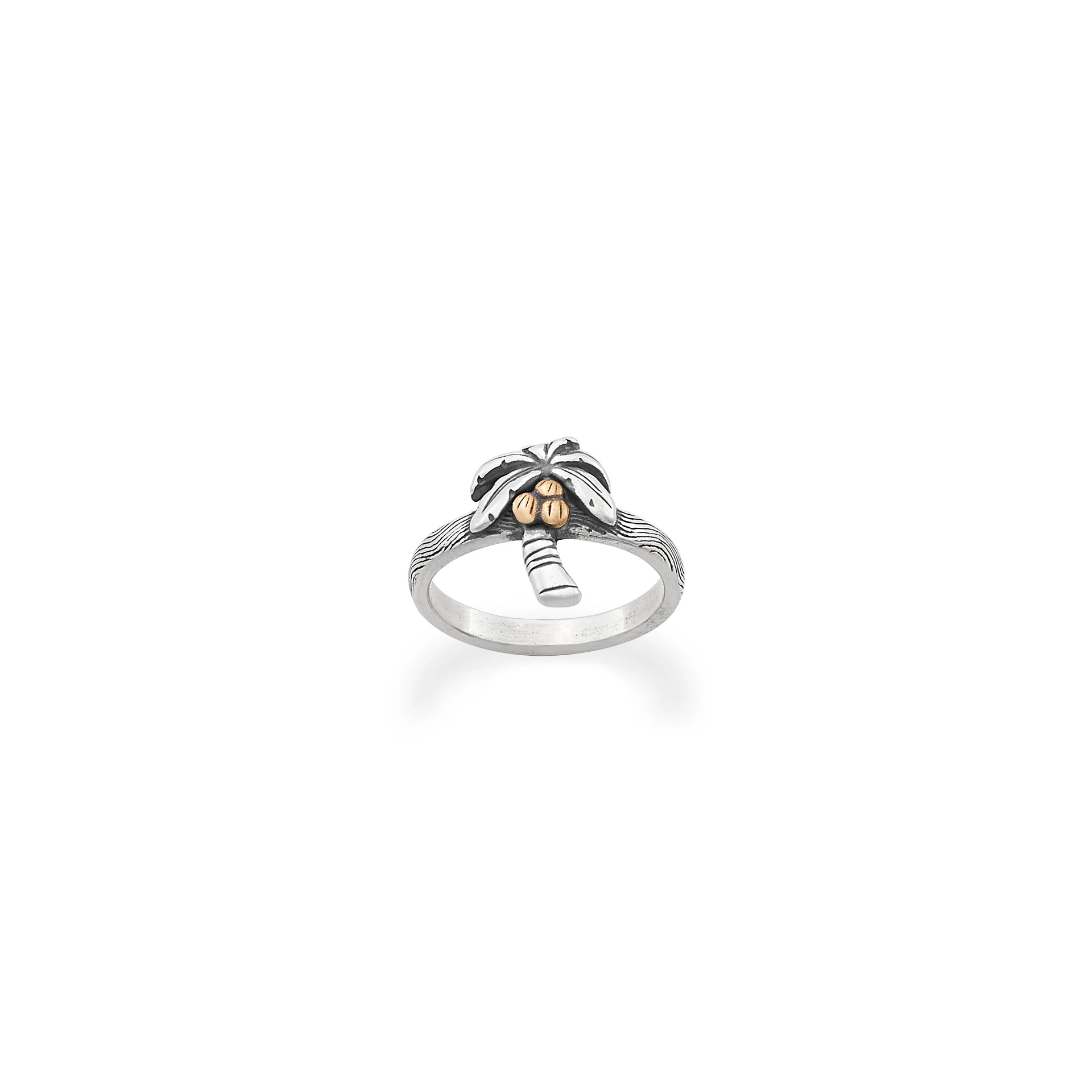 Tropical Palm Tree Ring